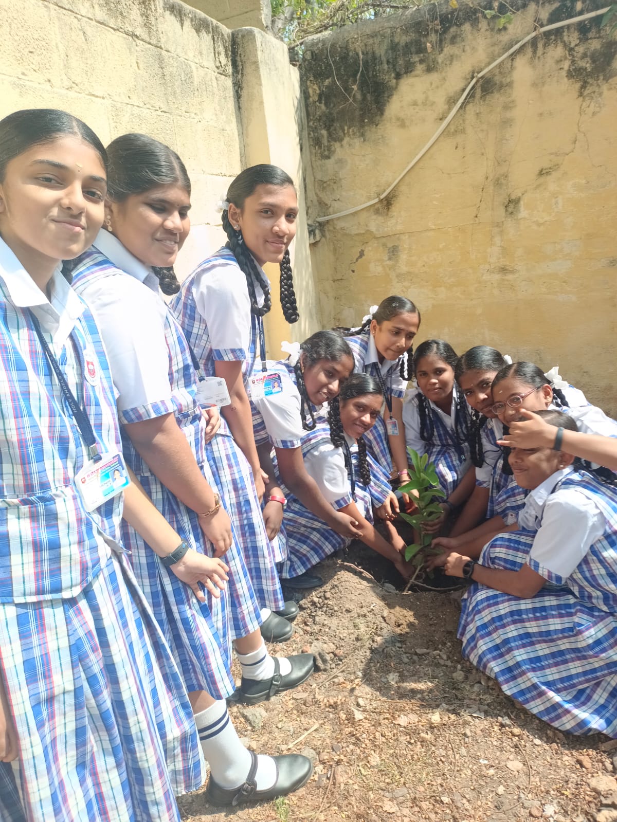 Our Students of lX th Standard had Plan